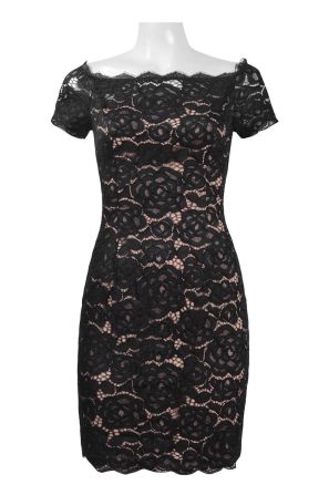 Adrianna Papell Day Scalloped Neck Short Sleeve Zipper Back Floral Lace Dress