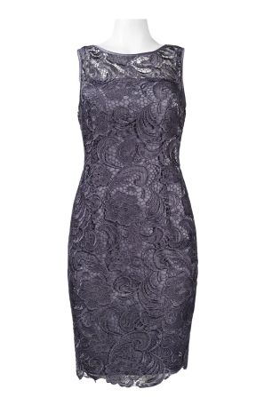 Adrianna Papell Illusion Neck Lace Overlay Dress