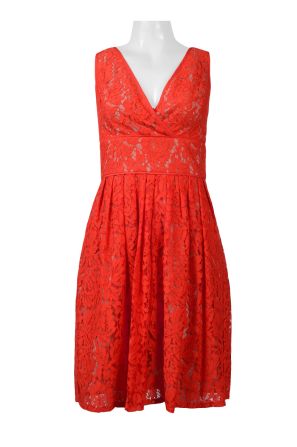 Adrianna Papell Day V-Neck Sleeveless Zipper Back Piping Detail Pleated Floral Lace Dress