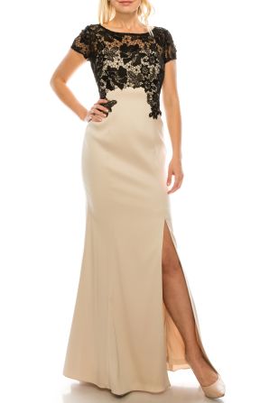 Adrianna Papell Lace Applique Sheath Evening Dress