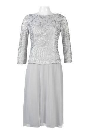 Alex Evenings Boat Neck Long Sleeve Embroidered Mesh Bodice Popover Mesh Dress (Petite)