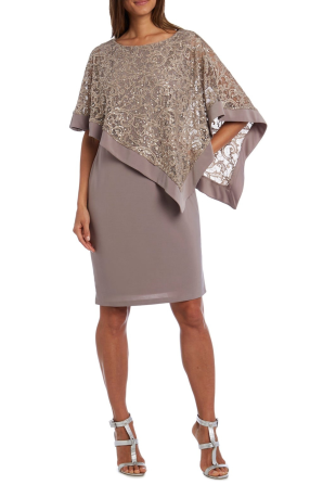 R&M Richards Sleeveless Sheath Dress with Lace Overlay