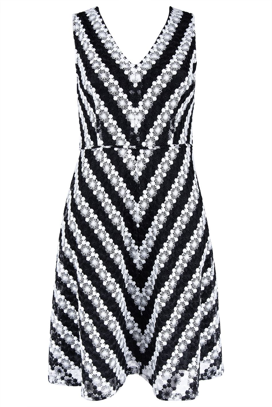Adrianna Papell Lace Fit Flare Day Dress